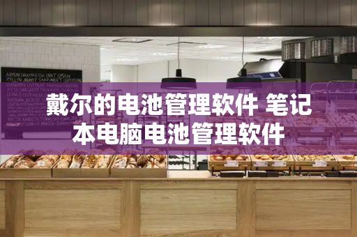 戴尔的电池管理软件 笔记本电脑电池管理软件-第1张图片-星选测评