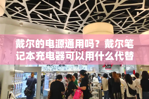 戴尔的电源通用吗？戴尔笔记本充电器可以用什么代替-第1张图片-星选测评