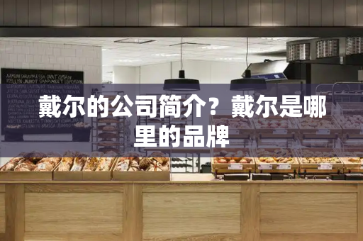 戴尔的公司简介？戴尔是哪里的品牌