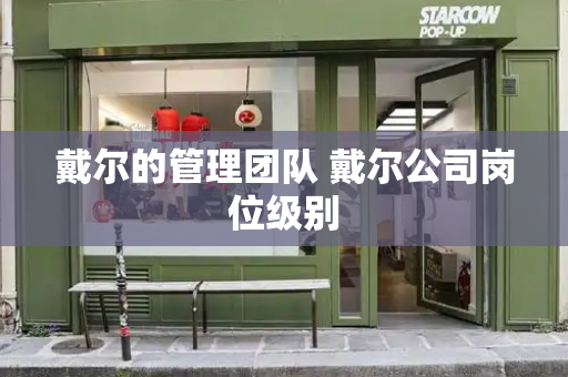戴尔的管理团队 戴尔公司岗位级别