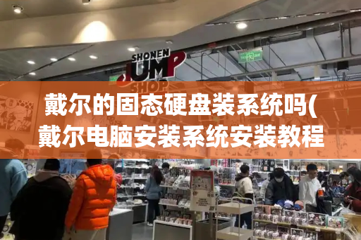 戴尔的固态硬盘装系统吗(戴尔电脑安装系统安装教程)-第1张图片-星选测评