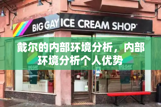 戴尔的内部环境分析，内部环境分析个人优势-第1张图片-星选测评