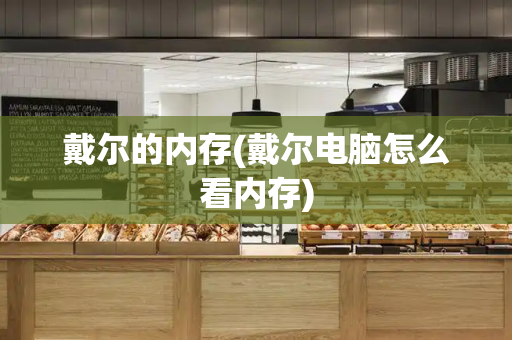 戴尔的内存(戴尔电脑怎么看内存)-第1张图片-星选测评