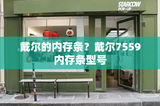 戴尔的内存条？戴尔7559内存条型号-第1张图片-星选测评