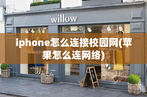 iphone怎么连接校园网(苹果怎么连网络)