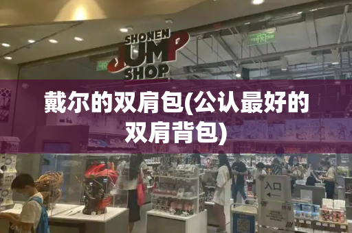 戴尔的双肩包(公认最好的双肩背包)-第1张图片-星选测评