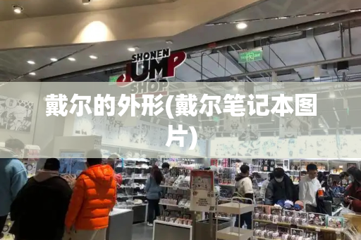戴尔的外形(戴尔笔记本图片)-第1张图片-星选测评