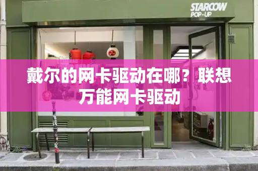 戴尔的网卡驱动在哪？联想万能网卡驱动-第1张图片-星选测评