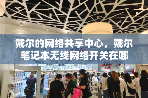 戴尔的网络共享中心，戴尔笔记本无线网络开关在哪-第1张图片-星选测评