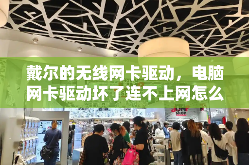 戴尔的无线网卡驱动，电脑网卡驱动坏了连不上网怎么办