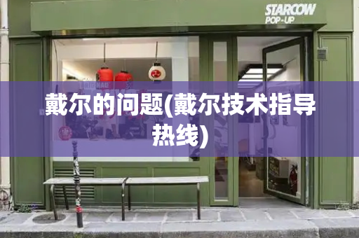 戴尔的问题(戴尔技术指导热线)