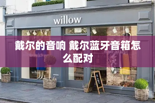 戴尔的音响 戴尔蓝牙音箱怎么配对