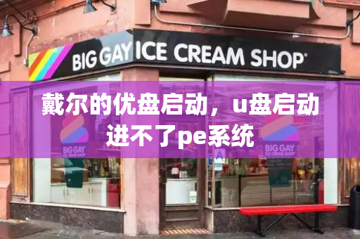 戴尔的优盘启动，u盘启动进不了pe系统