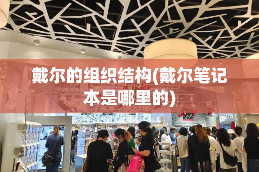 戴尔的组织结构(戴尔笔记本是哪里的)-第1张图片-星选测评