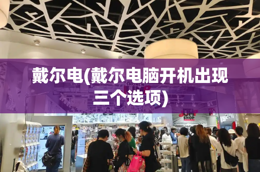 戴尔电(戴尔电脑开机出现三个选项)