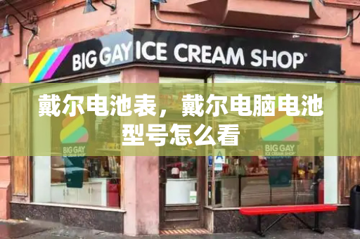 戴尔电池表，戴尔电脑电池型号怎么看-第1张图片-星选测评