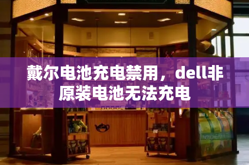 戴尔电池充电禁用，dell非原装电池无法充电-第1张图片-星选测评