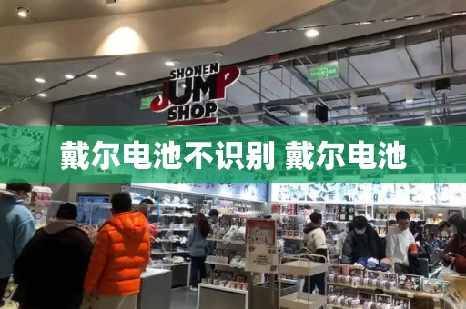 戴尔电池不识别 戴尔电池-第1张图片-星选测评