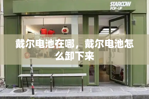 戴尔电池在哪，戴尔电池怎么卸下来-第1张图片-星选测评