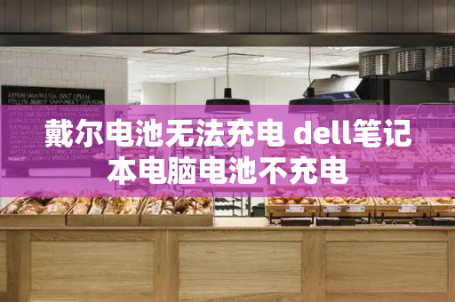 戴尔电池无法充电 dell笔记本电脑电池不充电-第1张图片-星选测评