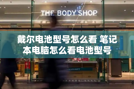 戴尔电池型号怎么看 笔记本电脑怎么看电池型号-第1张图片-星选测评