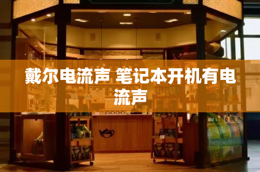 戴尔电流声 笔记本开机有电流声
