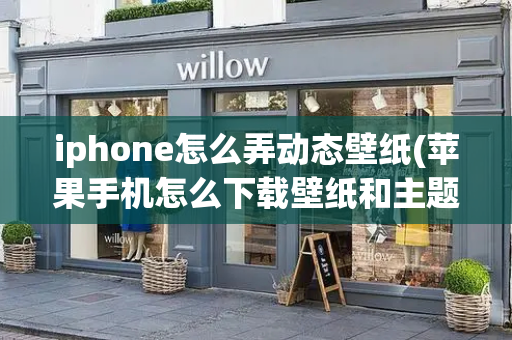 iphone怎么弄动态壁纸(苹果手机怎么下载壁纸和主题)