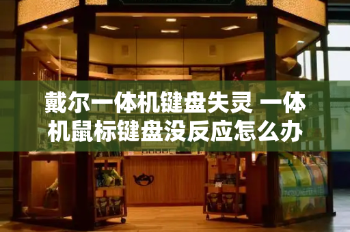 戴尔一体机键盘失灵 一体机鼠标键盘没反应怎么办-第1张图片-星选测评