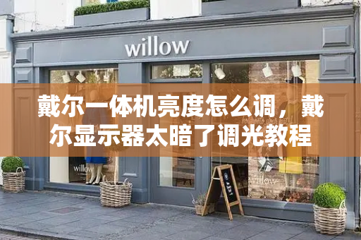 戴尔一体机亮度怎么调，戴尔显示器太暗了调光教程-第1张图片-星选测评