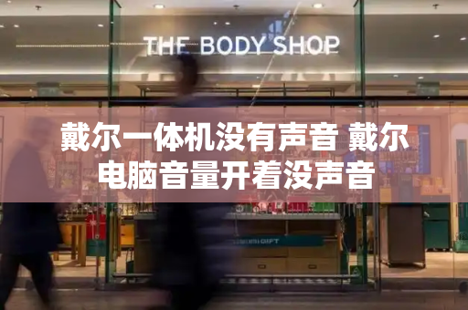 戴尔一体机没有声音 戴尔电脑音量开着没声音
