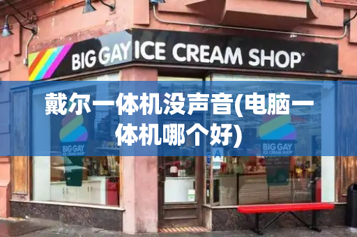 戴尔一体机没声音(电脑一体机哪个好)