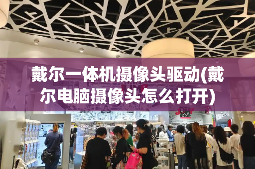 戴尔一体机摄像头驱动(戴尔电脑摄像头怎么打开)-第1张图片-星选测评