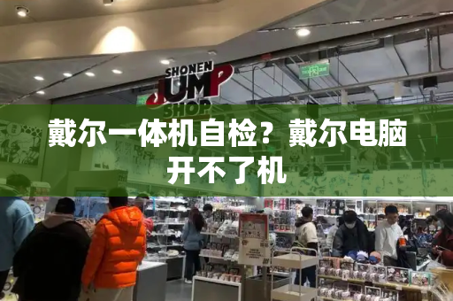戴尔一体机自检？戴尔电脑开不了机