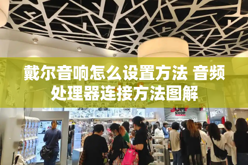 戴尔音响怎么设置方法 音频处理器连接方法图解-第1张图片-星选测评