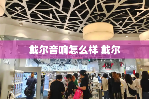 戴尔音响怎么样 戴尔-第1张图片-星选测评
