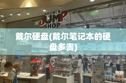 戴尔硬盘(戴尔笔记本的硬盘多贵)