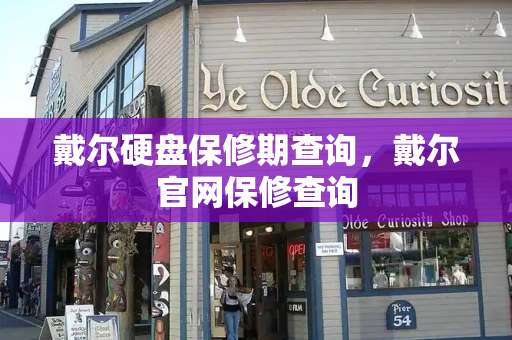 戴尔硬盘保修期查询，戴尔官网保修查询-第1张图片-星选测评