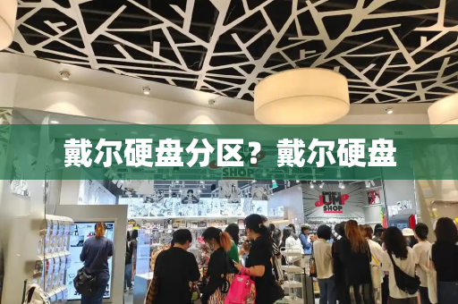 戴尔硬盘分区？戴尔硬盘-第1张图片-星选测评