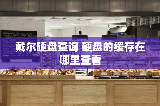 戴尔硬盘查询 硬盘的缓存在哪里查看