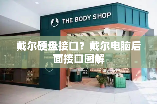 戴尔硬盘接口？戴尔电脑后面接口图解-第1张图片-星选测评