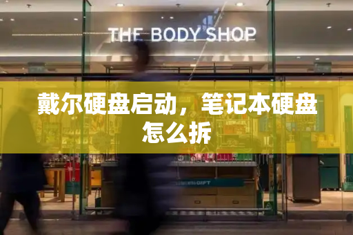 戴尔硬盘启动，笔记本硬盘怎么拆-第1张图片-星选测评