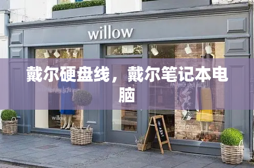 戴尔硬盘线，戴尔笔记本电脑-第1张图片-星选测评