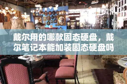 戴尔用的哪款固态硬盘，戴尔笔记本能加装固态硬盘吗