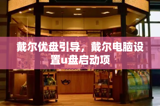 戴尔优盘引导，戴尔电脑设置u盘启动项-第1张图片-星选测评