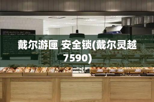 戴尔游匣 安全锁(戴尔灵越7590)-第1张图片-星选测评