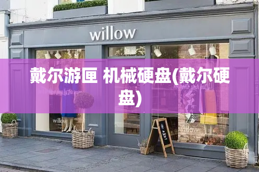 戴尔游匣 机械硬盘(戴尔硬盘)