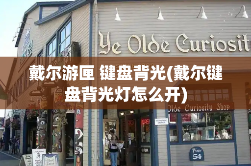 戴尔游匣 键盘背光(戴尔键盘背光灯怎么开)-第1张图片-星选测评