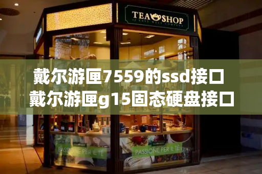 戴尔游匣7559的ssd接口 戴尔游匣g15固态硬盘接口