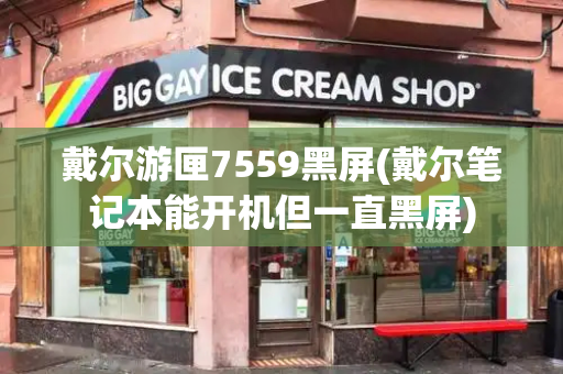 戴尔游匣7559黑屏(戴尔笔记本能开机但一直黑屏)-第1张图片-星选测评