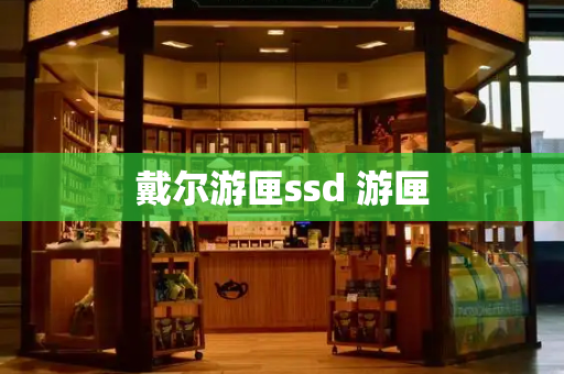 戴尔游匣ssd 游匣